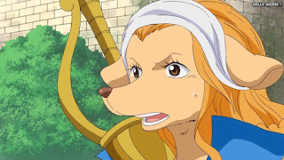 ワンピースアニメ 779話 ワンダ | ONE PIECE Episode 779