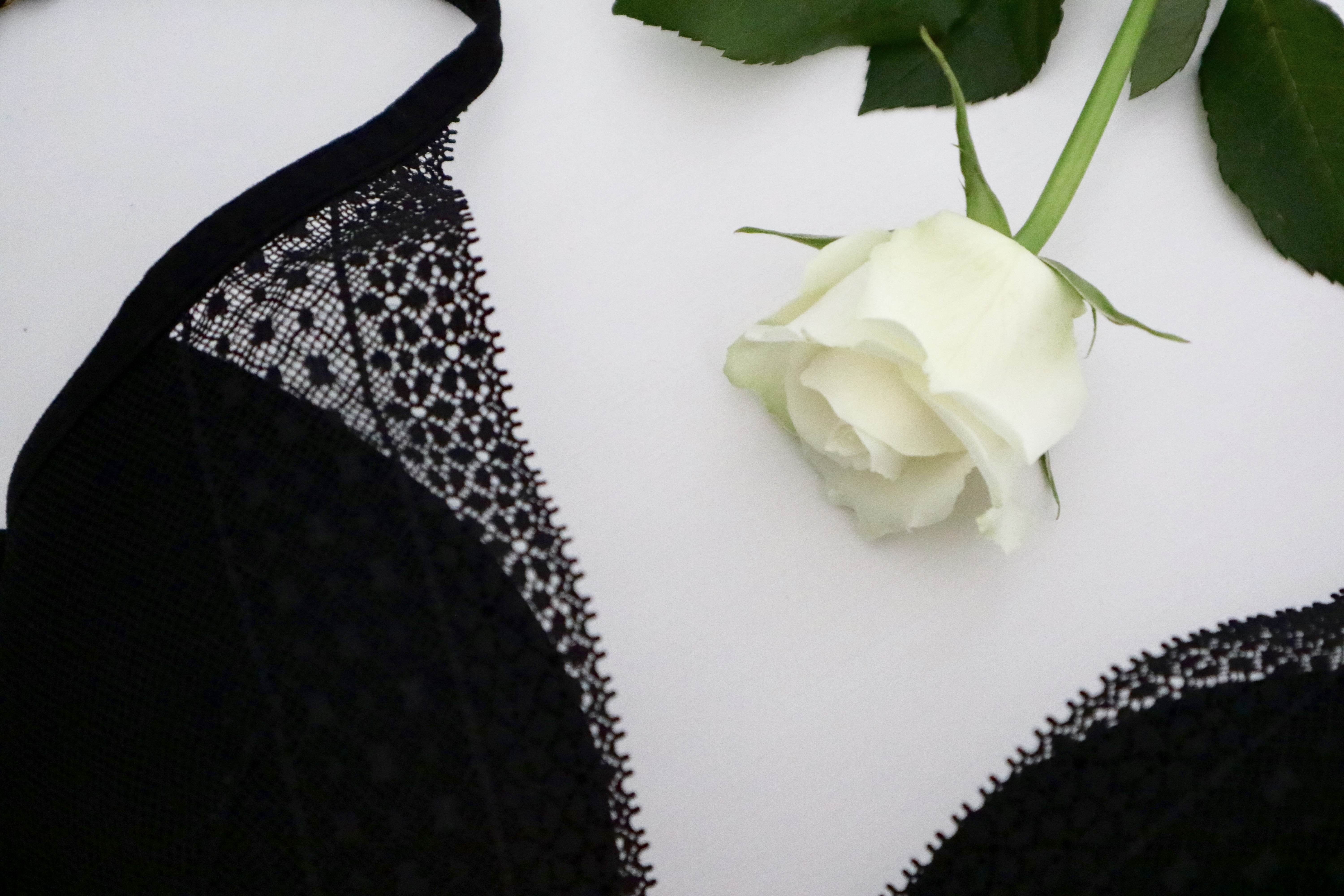Image of a rose and a bra with lace detailing