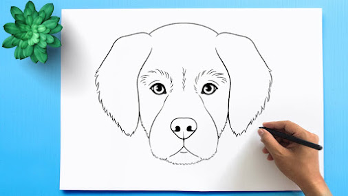 Best 20 Dog Drawing Sketch Painting Idea