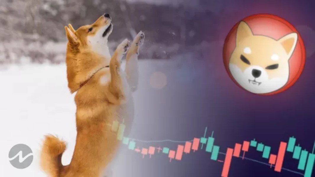 token-shiba-inu-caida