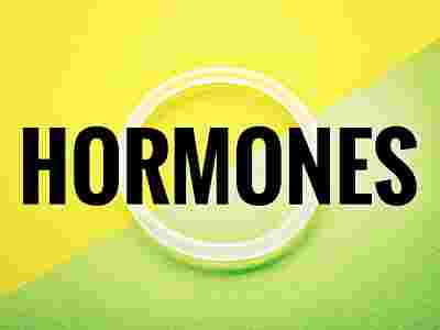 In these ways, you may simply control hormone imbalance issues.