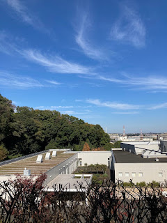 稲城市中央図書館から多摩川方面を眺める