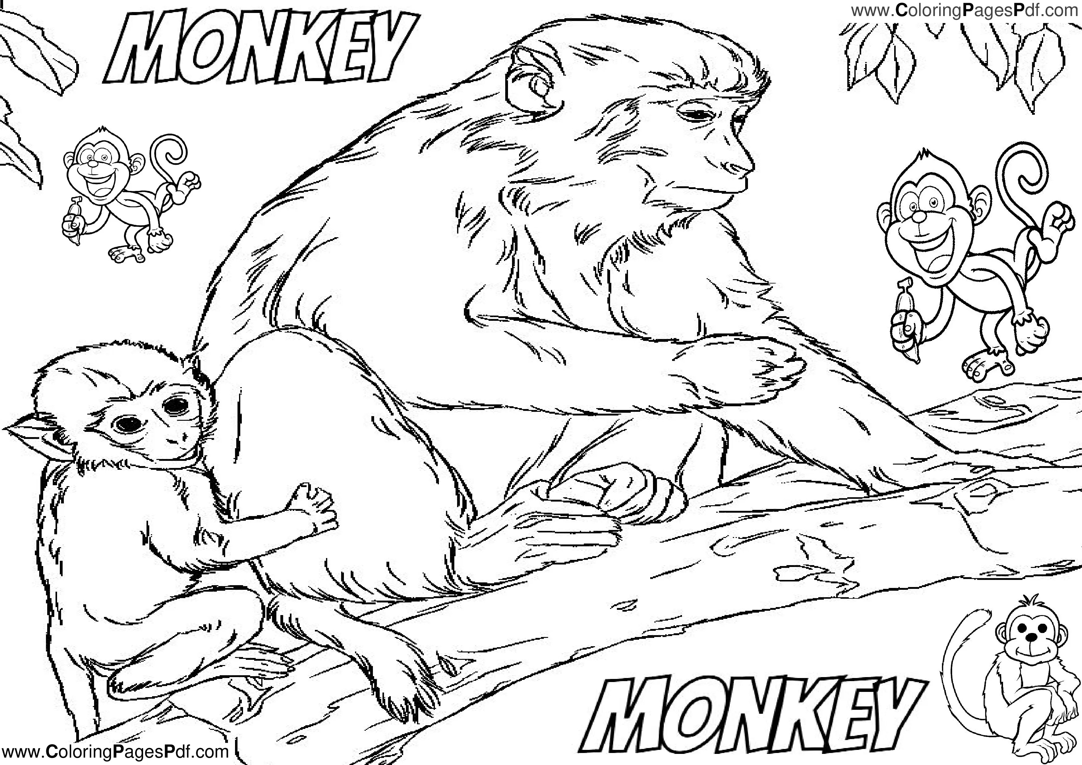 Realistic monkey coloring pages
