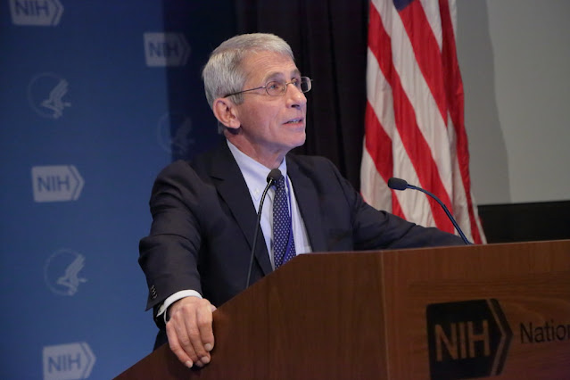 Anthony Fauci VIew on Travel Ban Over New COVID Variant.lelemuku.com.jpg