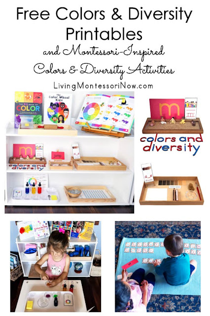 Montessori-Inspired Colors and Diversity Activities Using Free Printables