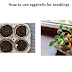 use eggshells for seedlings