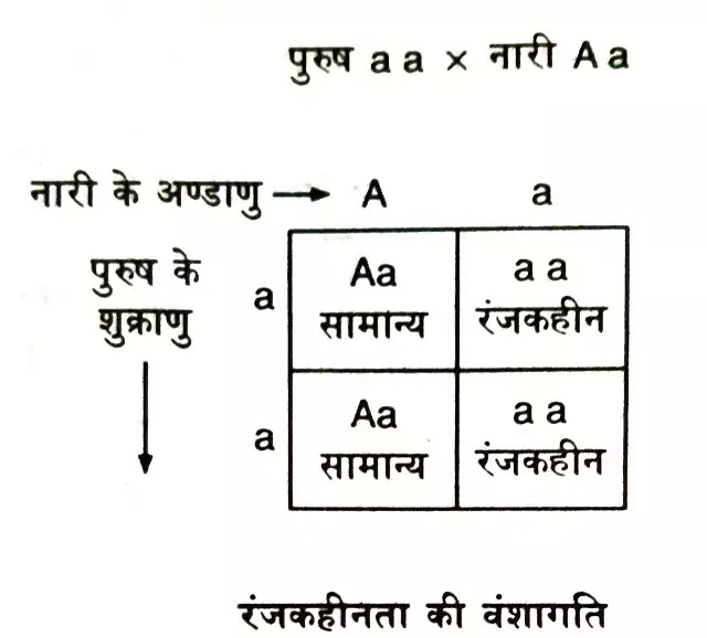 आनुवंशिक विकार तथा उनकी वंशागति(genetic disorders)| hindi