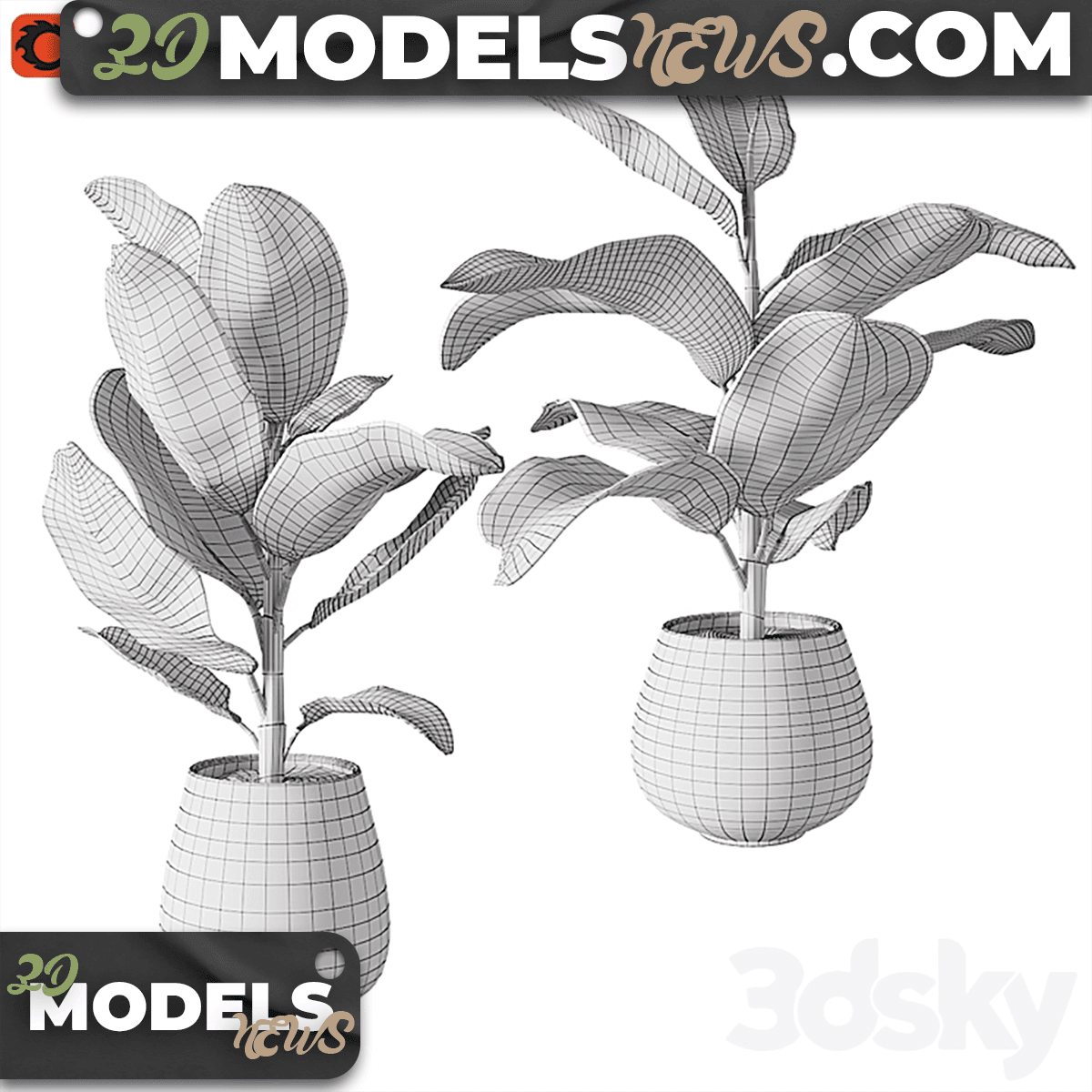 Set of plants model ficus rubbery 5