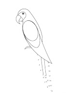 Parrot coloring page connect the dots by numbers