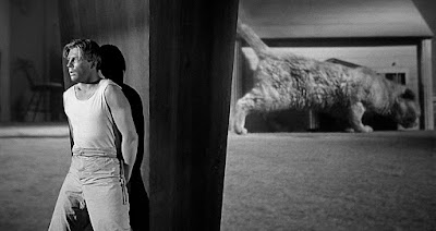  The Incredible Shrinking Man - Criterion Collection DVD and Blu-ray