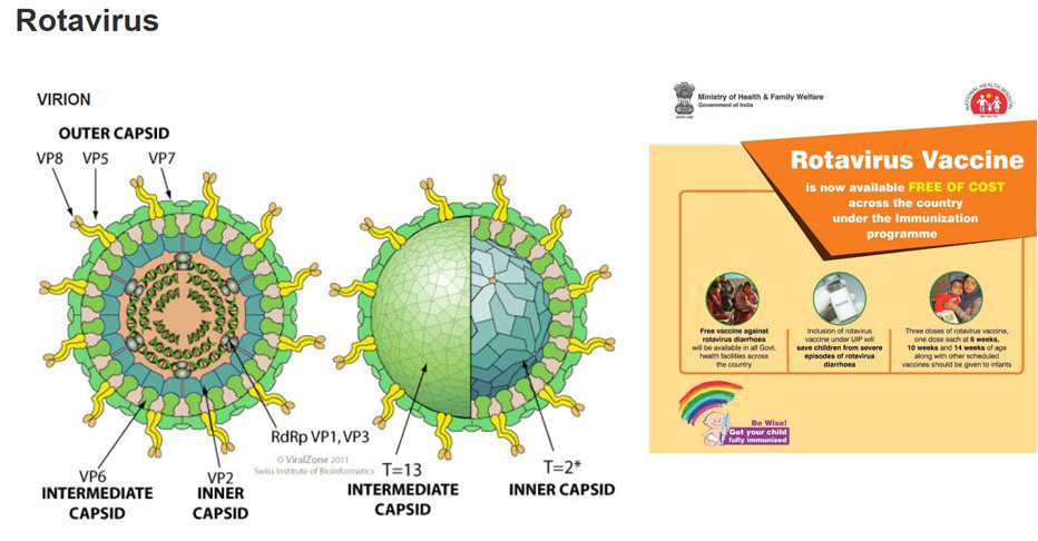 PT's IAS Academy, PT education, IAS, CSE, UPSC, Prelims, Mains, exam coaching, exam prep, Civil Services test