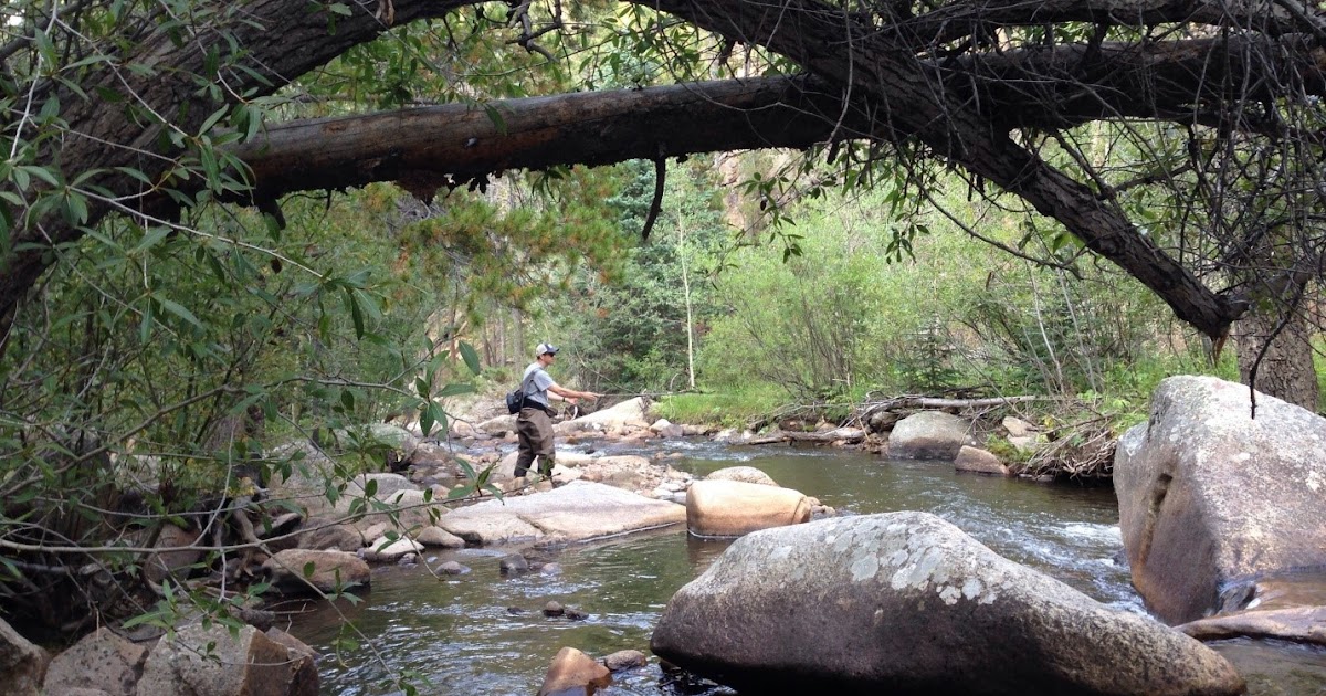 8 Essential Items For Your Backcountry Fly Fishing Trip