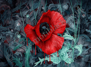 A dark scan of a watercolour painting of a red Turkish poppy