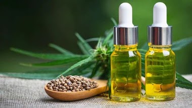 CBDFan: Your Trusted Source for High-Quality and Affordable CBD Products