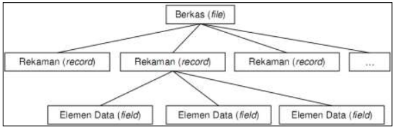 Struktur hirarki Basis Data