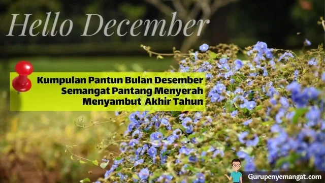 Kumpulan Pantun Bulan Desember