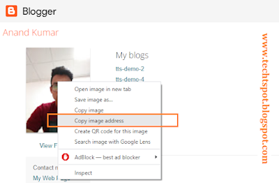 Add Author Profile widget to Blogger 6