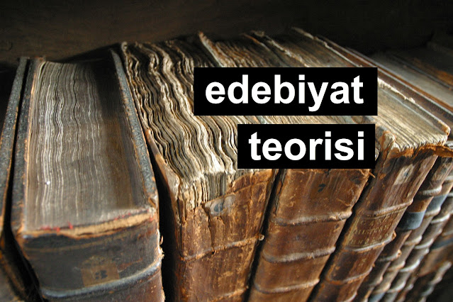 edebiyat teorisi