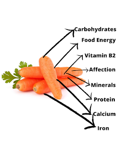 Carrot Health Medicine: 14 Health Benefits of Carrots | HEALTHYFRUITS25