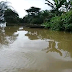 Thieves abandon 2,000 logs, jump into river in Edo