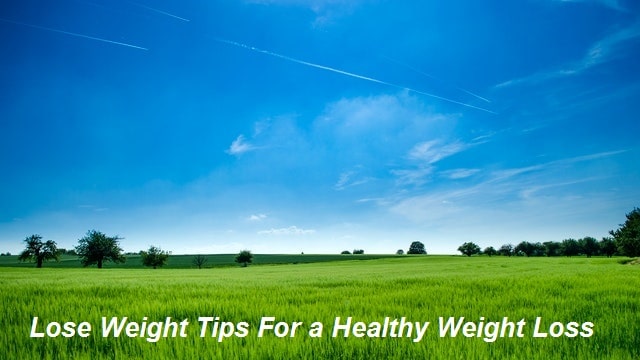 Lose Weight Tips For a Healthy Weight Loss