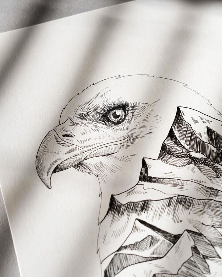 09-Bald-eagle-Alfred-Basha-www-designstack-co