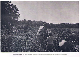 H.O. Wheeler School garden program at Shelburne Farms - 1972