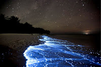 Plânctons bioluminescentes são recorrentes nas praias da Ilha do Mel