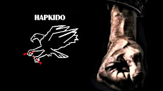 Ruben Cascia Hapkido