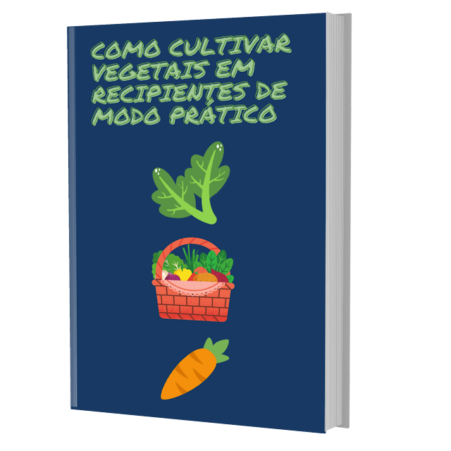 Ebook
