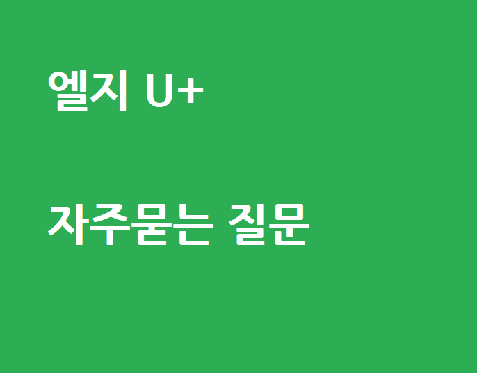 자주하는 질문