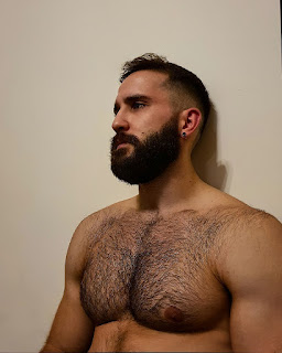 Hairy Daddy Hunks - Big Bears