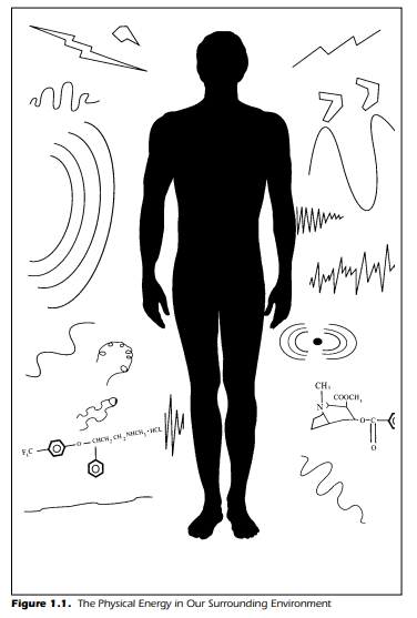 Introduction to the Nervous System