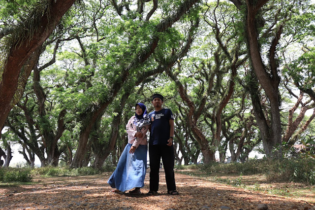 pacaran di hutan djawatan banyuwangi