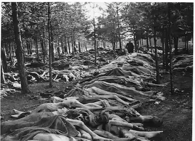 آلاف الجثث العارية لأسرى المعسكرات النازية في أحد الغابات خلال الحرب العالمية الثانية