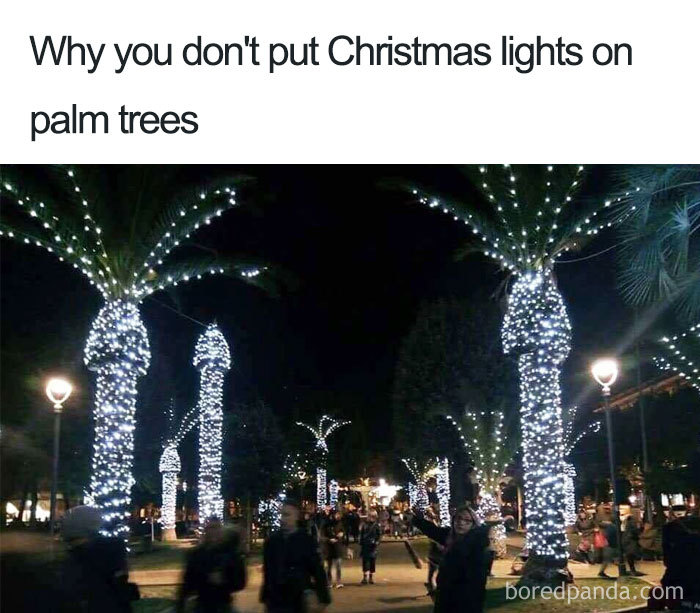 too much Christmas spirit memes 2021