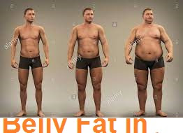 What Causes Belly Fat in Men
