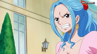 ワンピースアニメ 世界会議編 885話 ビビ | ONE PIECE Levely Arc レヴェリー