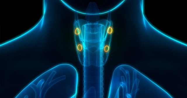 Secondary Hyperparathyroidism Treatment