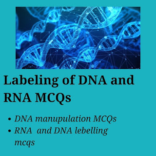 Labeling of DNA and RNA MCQs most probably ask in CSIR NET Exam.