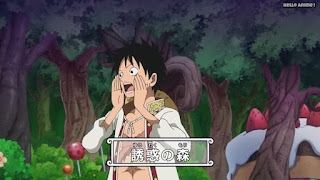 ワンピースアニメ WCI編 794話 ルフィ Monkey D. Luffy | ONE PIECE Episode 794