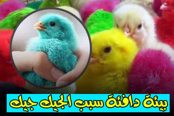 بيئة دافئة - Nooh Freestyle