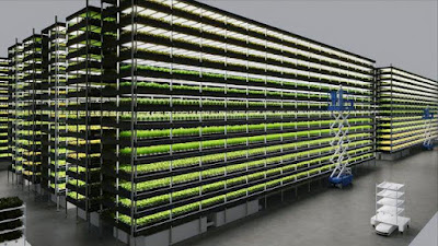 Vertical Farming