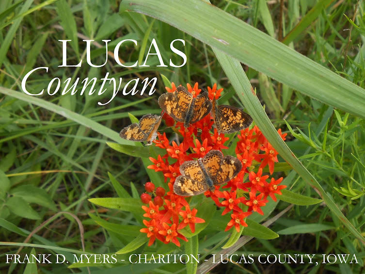 The Lucas Countyan