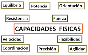 Capacidades físicas