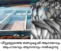 Fish Farming - മത്സ്യകൃഷി ആദായം, ആഹാരം, ആനന്ദം