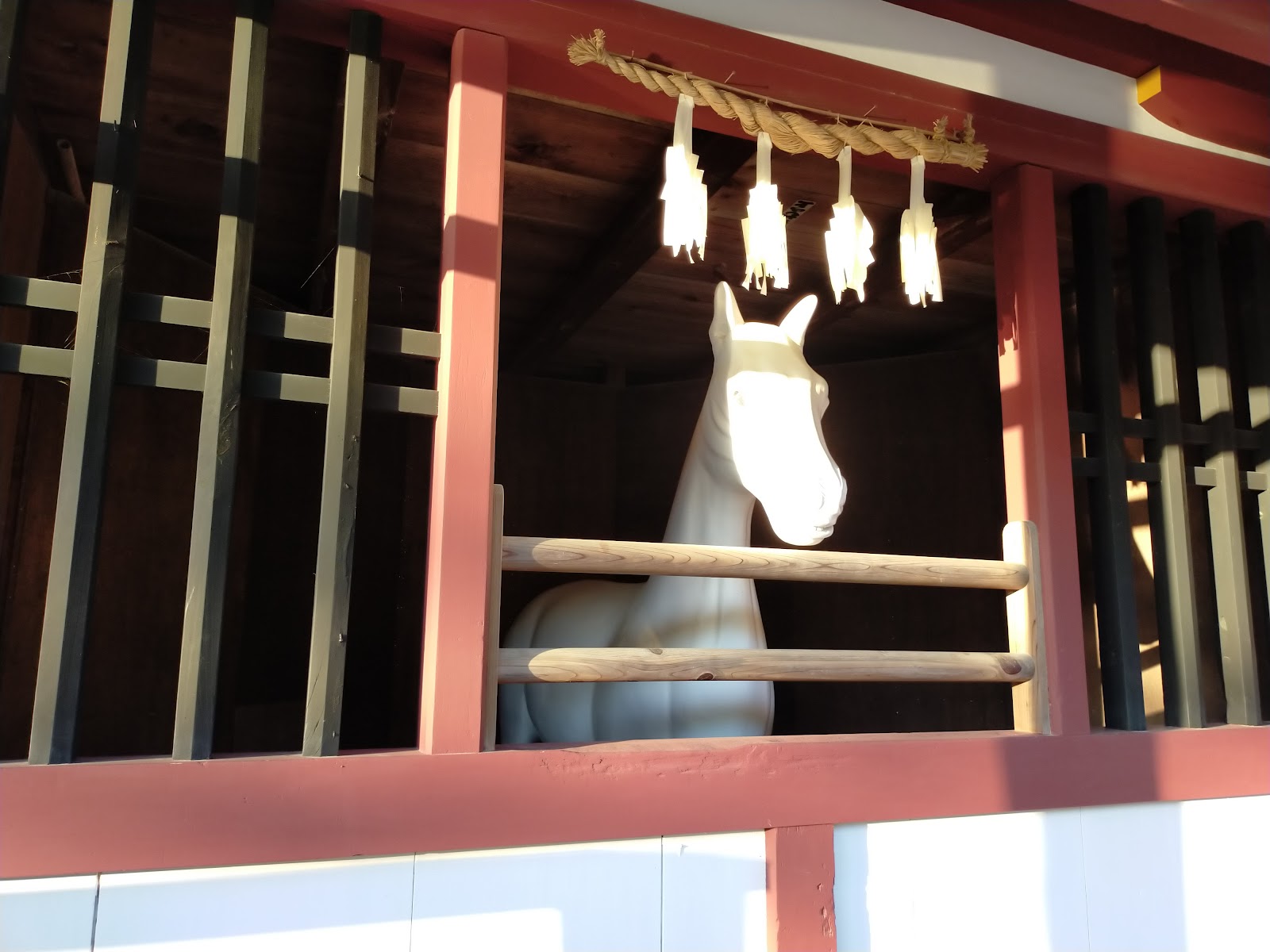 厳島神社の神馬です。