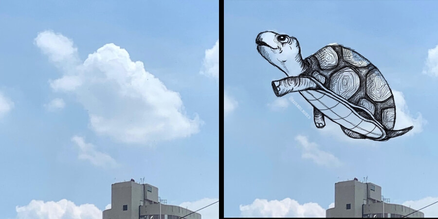 01-Flying-tortoise-Monse-Ascencio-www-designstack-co