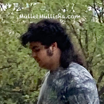 mullet