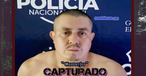 alias conejo